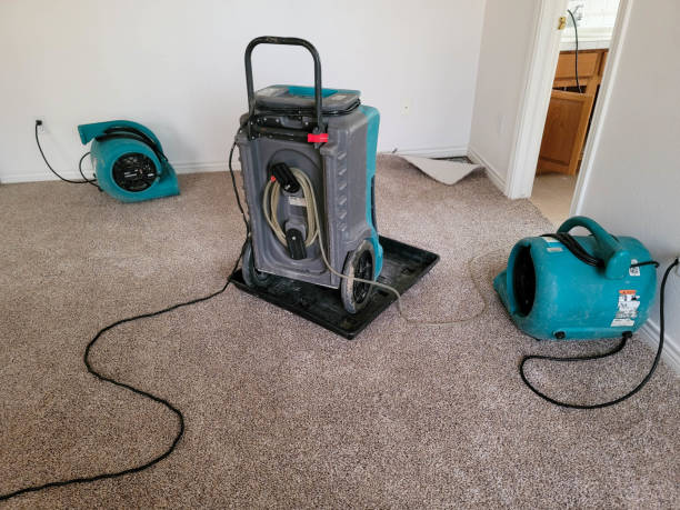 Best 24/7 water damage repair  in Duquesne, PA