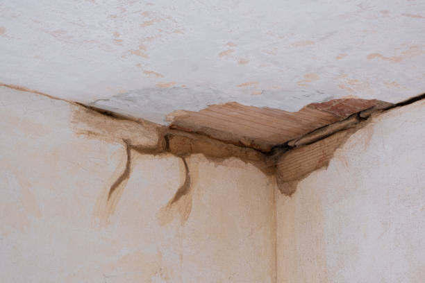 Best 24-hour water damage restoration  in Duquesne, PA