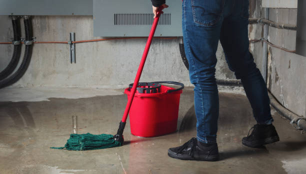 Best Water damage restoration near me  in Duquesne, PA