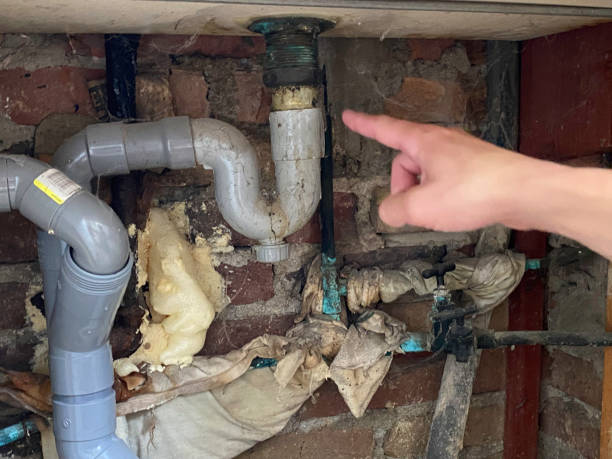 Best Sewage cleanup and water damage restoration  in Duquesne, PA